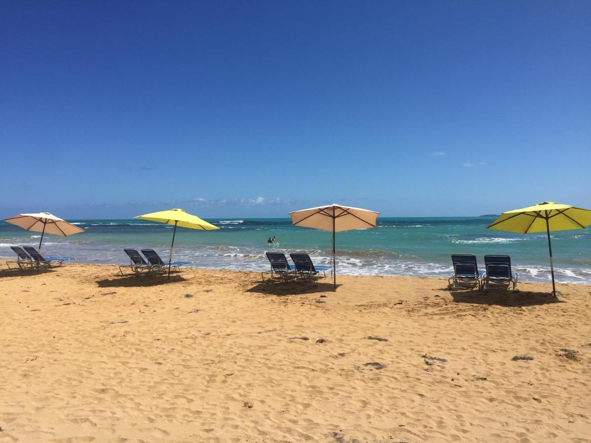 Blue Leaf By The Sea Apartment Luquillo Exterior photo