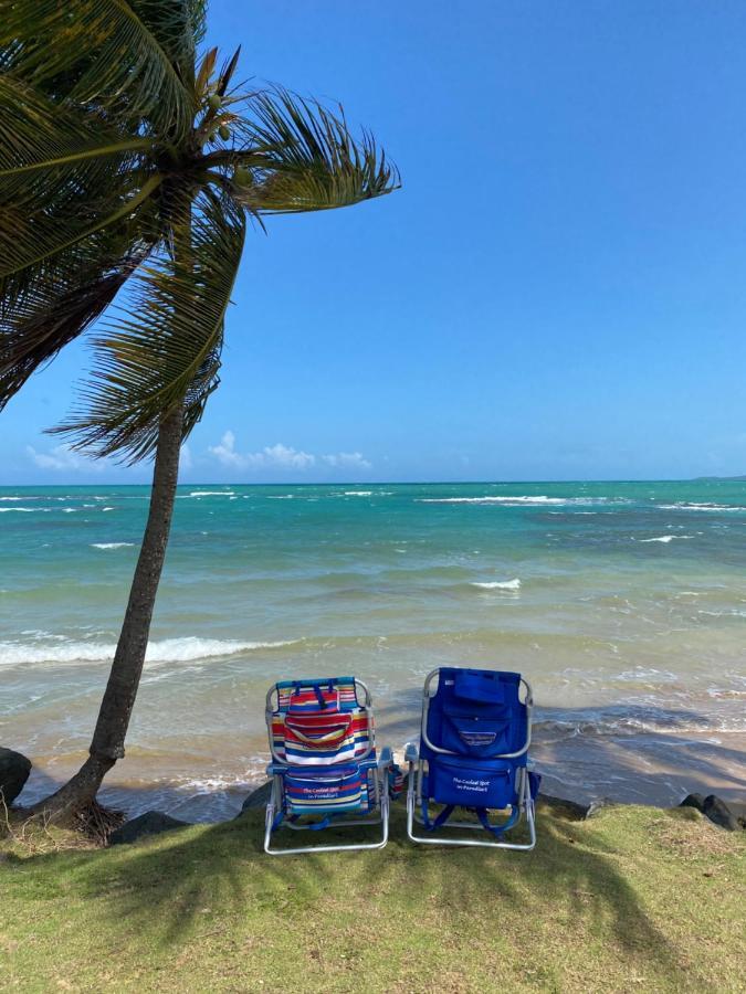 Blue Leaf By The Sea Apartment Luquillo Exterior photo