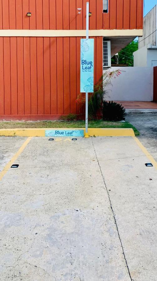 Blue Leaf By The Sea Apartment Luquillo Exterior photo